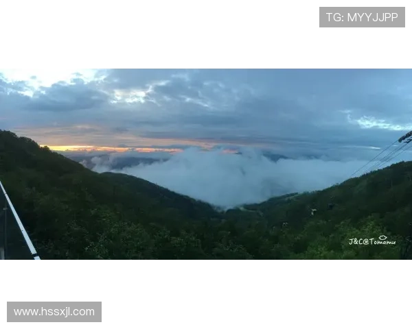 麦金展望艰难太妃糖考验前路